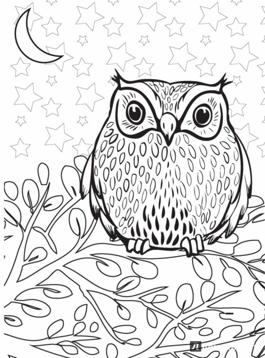 Раскраски для детей антистресс. Антистресс. Развивающие раскраски. 