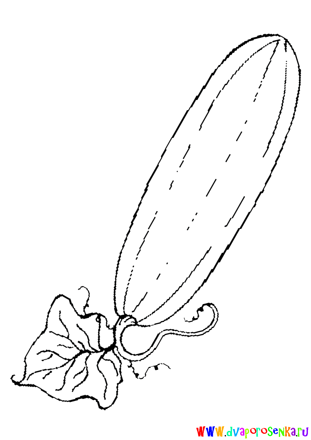 Изучаем овощи. Разукрась овощи. Раскраска для детей про овощи.