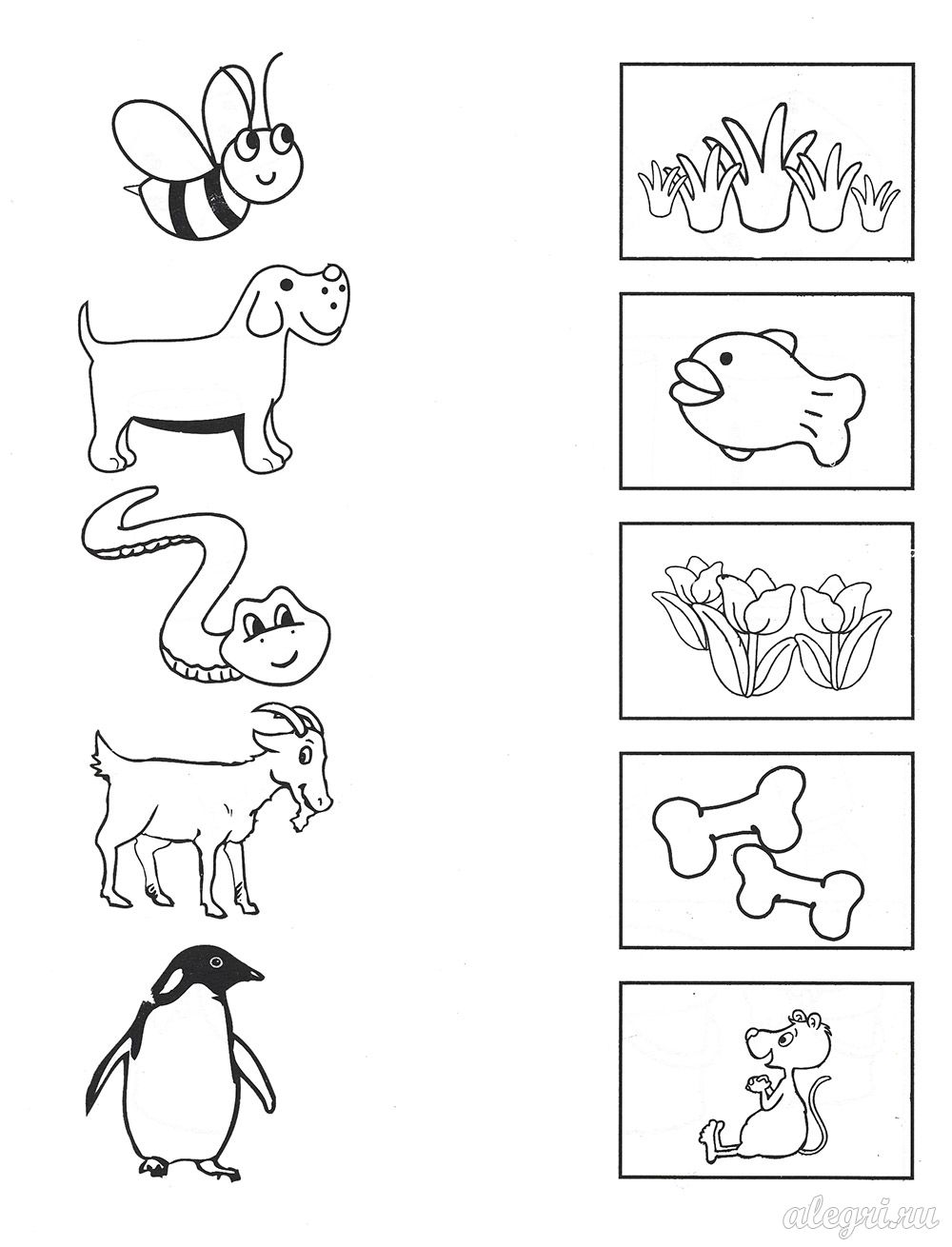 Раскраски для детей. Кто что ест? Обучающие раскраски. Еда.  