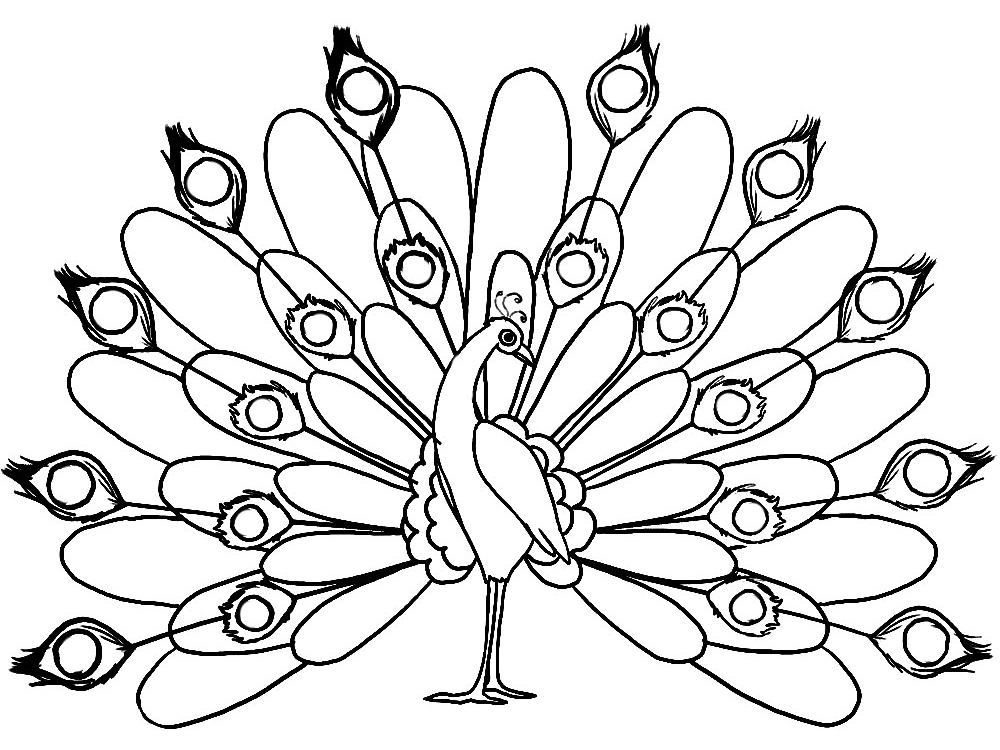 Раскраски для детей домашние и дикие птицы. Изучаем птиц.    