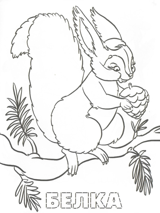 Раскраска обитатели леса. Обучающая раскраска про животных . 