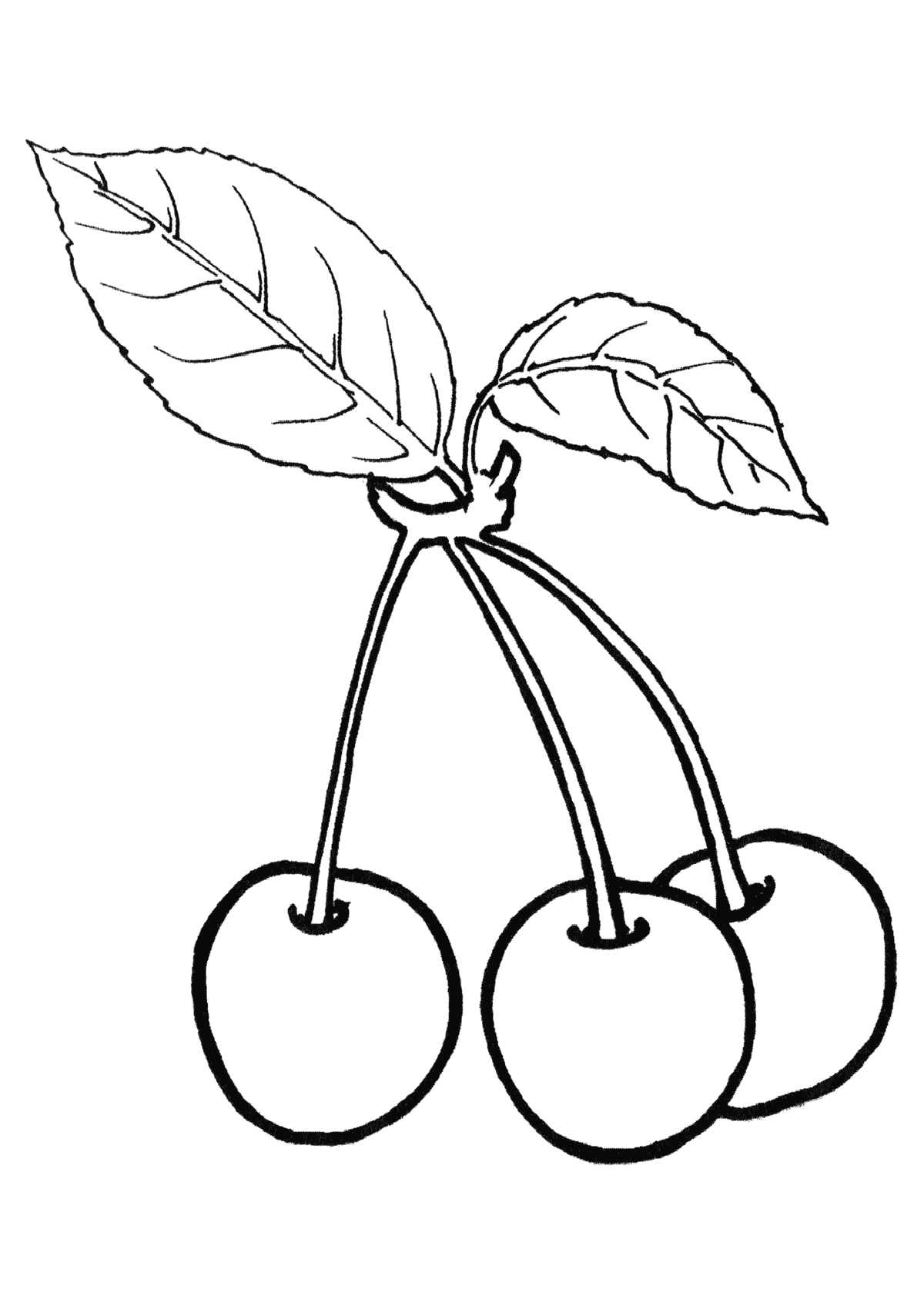 раскраски для детей фрукты. Раскраски для детского сада.    