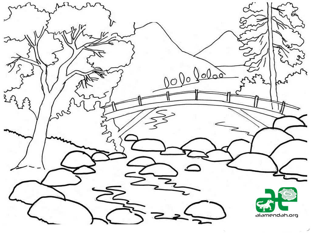 Раскраски для детей лесной пейзаж. Лес. Осень в лесу. Пейзаж.