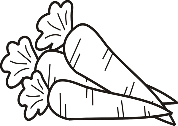 Раскраска красивой морковки для изучения овощей