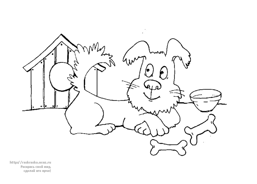 Раскрась и расскажи где живут животные. Обучающая раскраска .