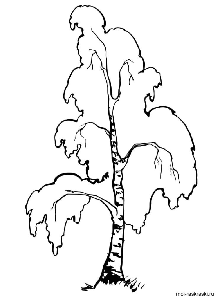 Раскраски деревья для дошкольников и первоклассников.       