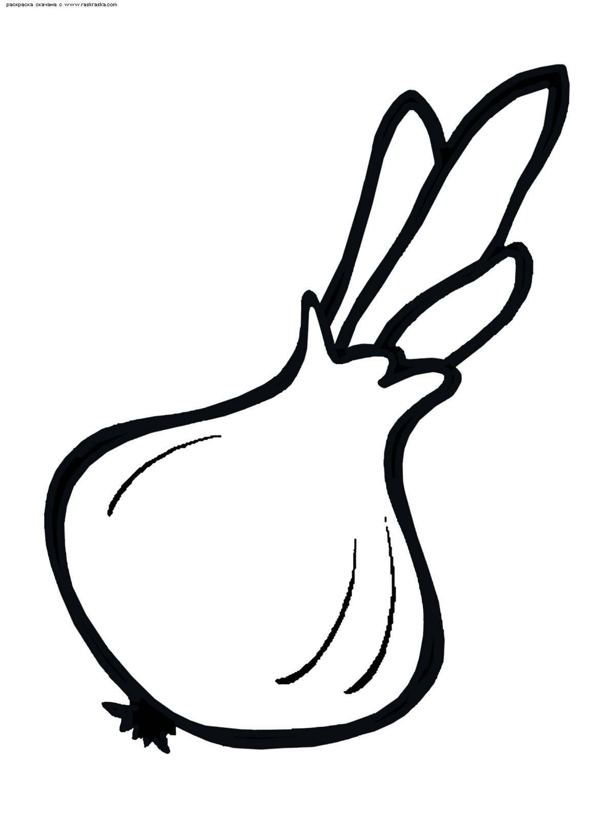 Раскраски с изображениями различных овощей. 