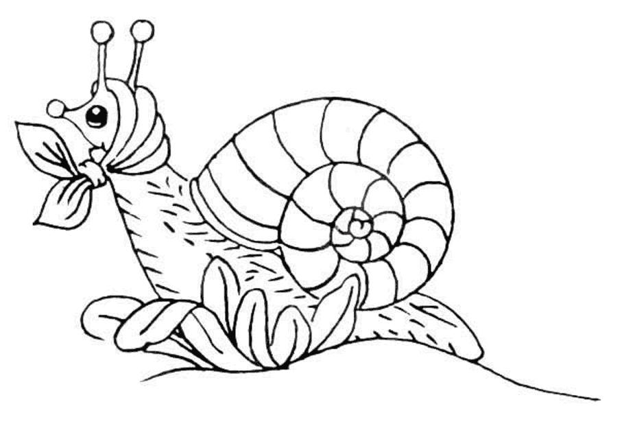 Раскраски для детей насекомые которые живут у нас во дворе. 