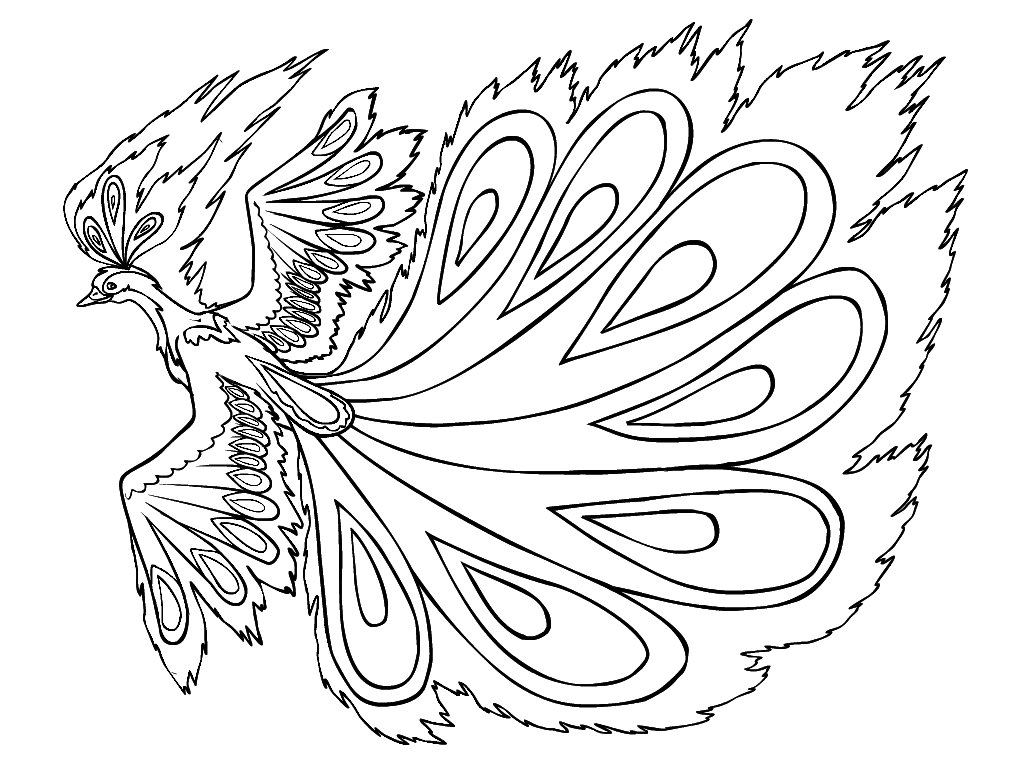 Раскраски для детей домашние и дикие птицы. Изучаем птиц.    