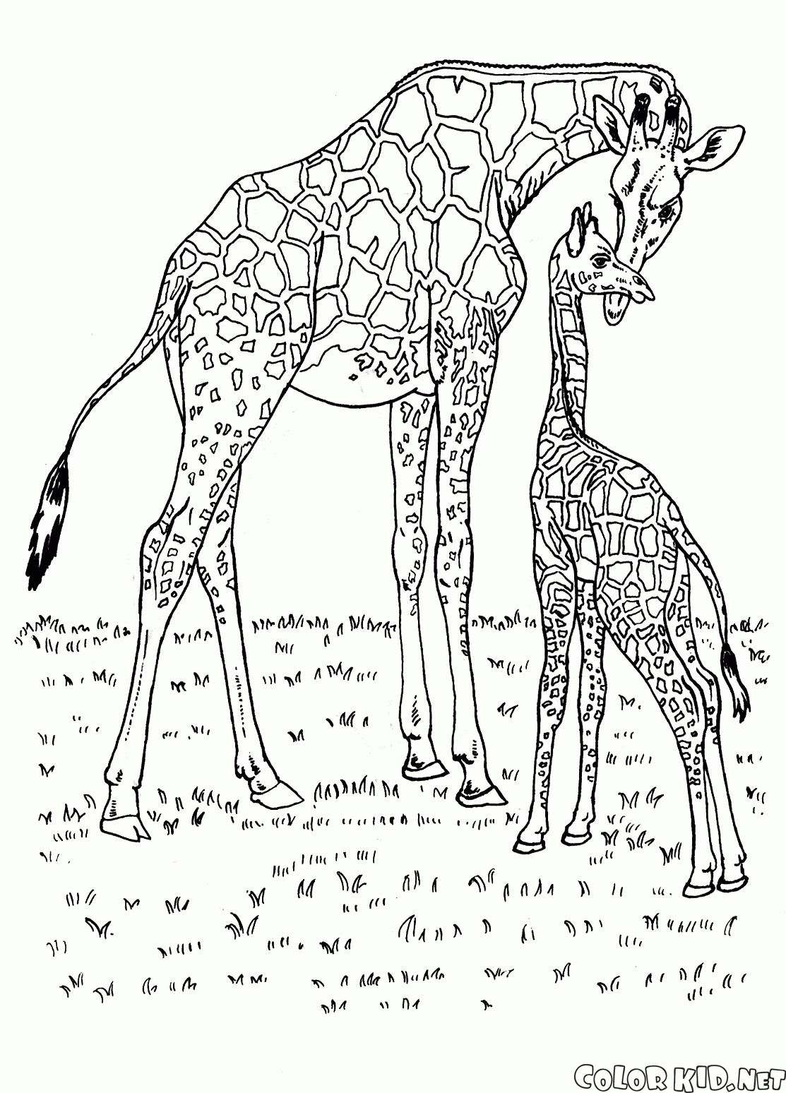 Жираф в Африке раскраска