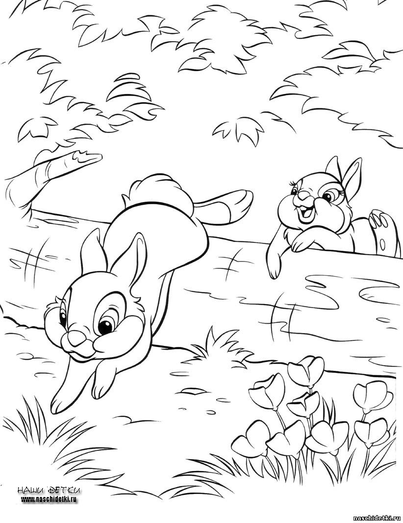 Раскраски для детей лесной пейзаж. Лес. Осень в лесу. Пейзаж.