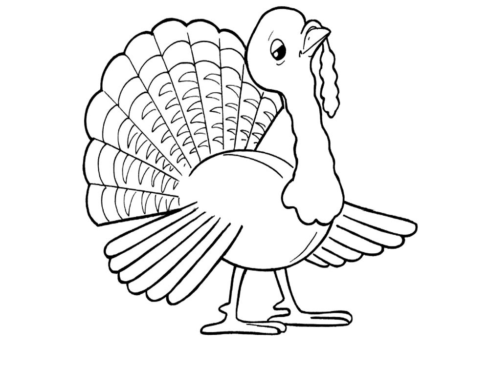 Раскраски для детей домашние и дикие птицы. Изучаем птиц.    