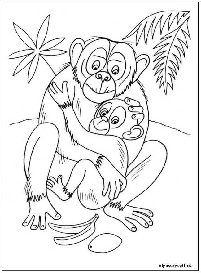 Раскраски для детей животные и их детеныши. Животное и его ребенок.