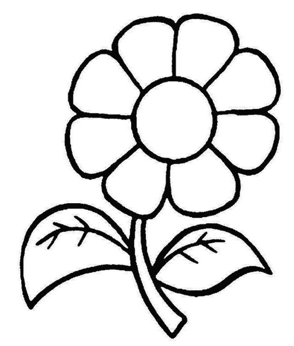 Раскраска для детей изучаем цветы. Раскрашиваем красивые цветы.