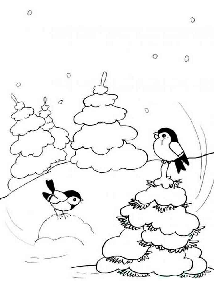 Обучающие раскраски на тему зима у нас в лесу. Картинки зимы.