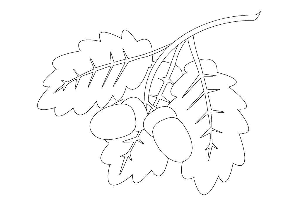 Раскраска про осенние поделки. Поделки из картона. Осенние поделки из листьев. 