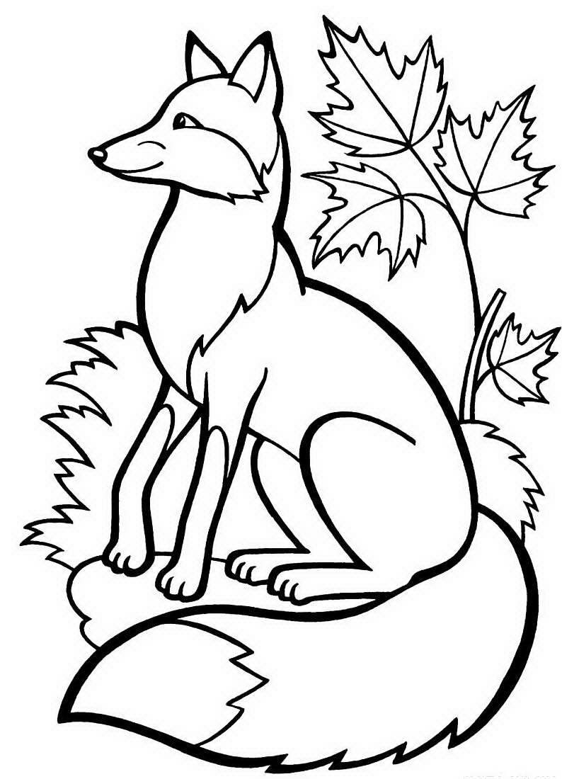 Раскраска обитатели леса. Обучающая раскраска про животных . 