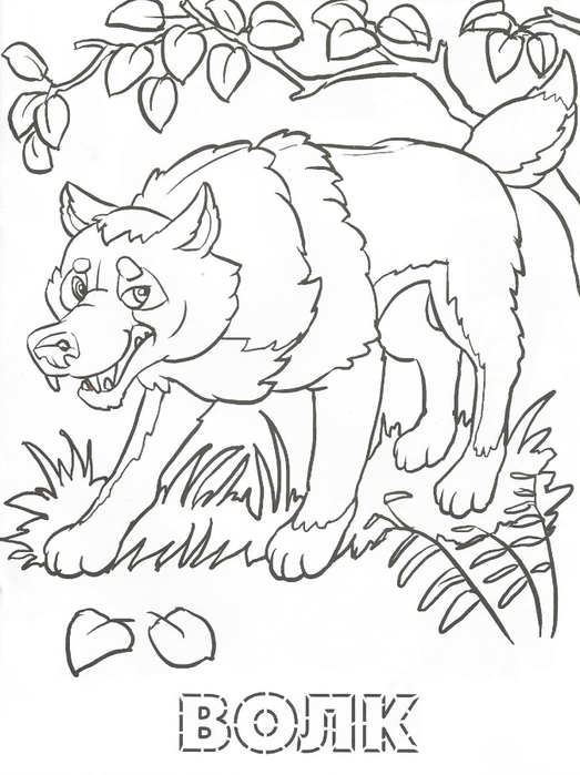 Раскраска обитатели леса. Обучающая раскраска про животных . 