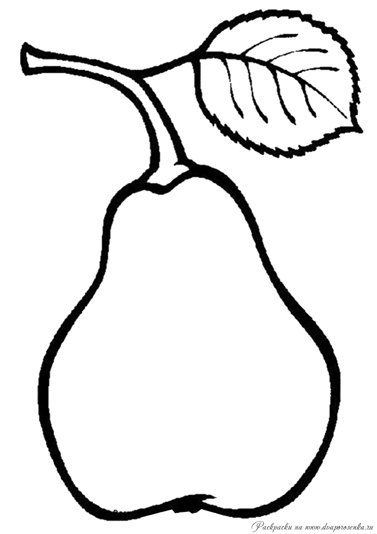 Изучаем фрукты с детьми. Раскрась фрукты. Раскраски для дошкольника.