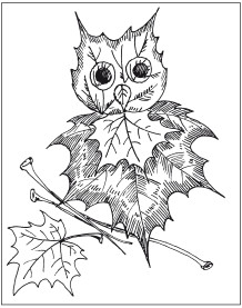 Раскраска про осенние поделки. Поделки из картона. Осенние поделки из листьев. 