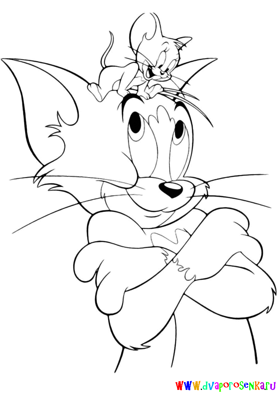 Раскраски для девочек про Кота Тома и мышь Джерри.          