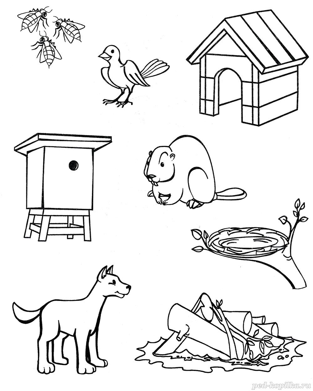 Кто где живет?