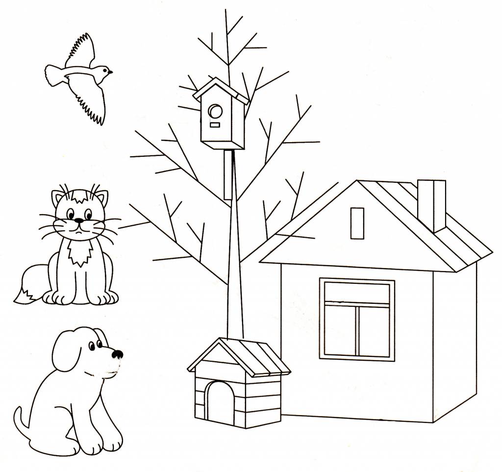 Познавательные раскраски Кто Где Живет 