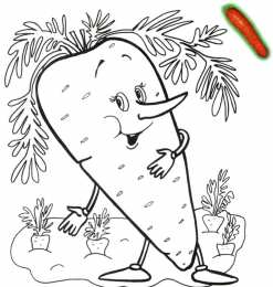 Раскраски Изучаем овощи. Изучаем овощи. Разукрась овощи. Раскраска для детей про овощи.