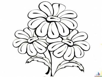 Раскраски Изучаем цветы Раскраска для детей изучаем цветы. Раскрашиваем красивые цветы.