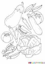 Раскраски Изучаем овощи. Изучаем овощи. Разукрась овощи. Раскраска для детей про овощи.