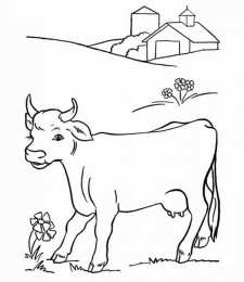 Раскраски домашние животные Раскраски для детей домашние животные. Наши питомцы.                      