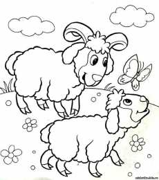 Раскраски домашние животные Раскраски для детей домашние животные. Наши питомцы.                      