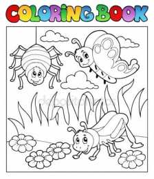 Раскраски насекомые Раскраски насекомые. Насекомые на нашей улице.               