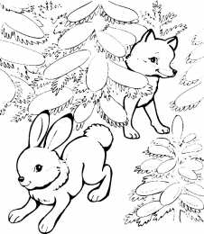 Раскраски зима Раскраски Зима для детей. Раскраски для самых маленьких     