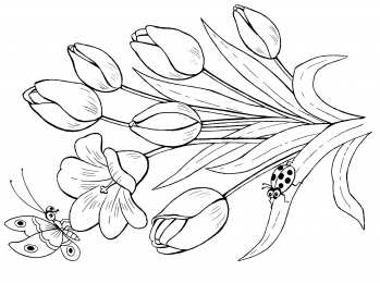 Раскраски Изучаем цветы Раскраска для детей изучаем цветы. Раскрашиваем красивые цветы.
