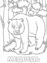 Обитатели леса Раскраска обитатели леса. Обучающая раскраска про животных . 