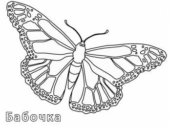 Раскраски бабочки Раскраски для девочек бабочки. Красивые крылья бабочек.      