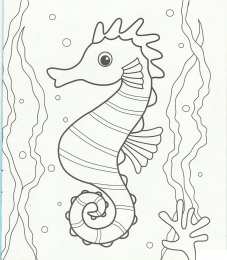 Раскраски морские обитатели Раскраски для детей морские обитатели. Обитатели воды.       