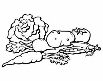 Раскраски Изучаем овощи. Изучаем овощи. Разукрась овощи. Раскраска для детей про овощи.