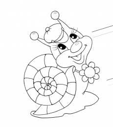 Раскраски насекомые Раскраски для детей насекомые которые живут у нас во дворе. 