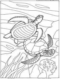 Раскраски морской пейзаж Раскраски для детей морской пейзаж. Морская вода. Морские обитатели.