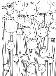 Раскраски Антистресс Раскраски для детей антистресс. Антистресс. Развивающие раскраски. 