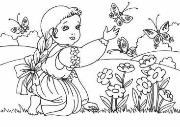 Раскраски бабочки Раскраски для девочек бабочки. Красивые крылья бабочек.      