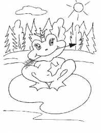 Раскраска Царевна Лягушка Раскраска для девочек про Царевну Лягушку.                  