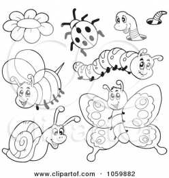 Раскраски насекомые Раскраски насекомые. Насекомые на нашей улице.               