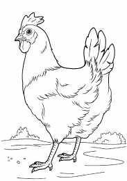 Раскраски домашние животные Раскраски для детей домашние животные. Наши питомцы.                      