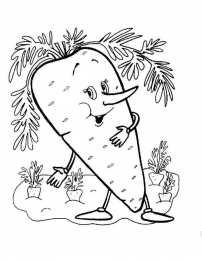 Раскраски Изучаем овощи. Раскраски с изображениями различных овощей. 