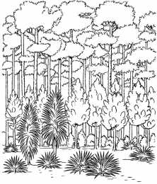 Раскраски лесной пейзаж Раскраски для детей лесной пейзаж. Лес. Осень в лесу. Пейзаж.