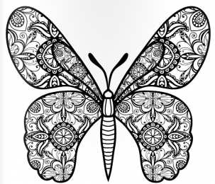 Раскраски бабочки Раскраски для девочек бабочки. Красивые крылья бабочек.      