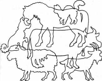 Раскраски кто спрятался? Обучающая раскраска для детей под названием Кто спрятался на картинке?